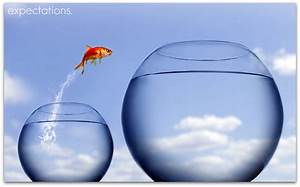 Fish Funny motivational speaker
