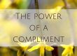 Compliments Funny Speaker