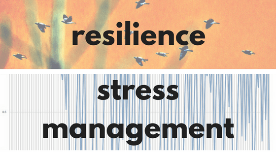 Funny Motivational speaker Amy Dee's blog Resilience from Stress